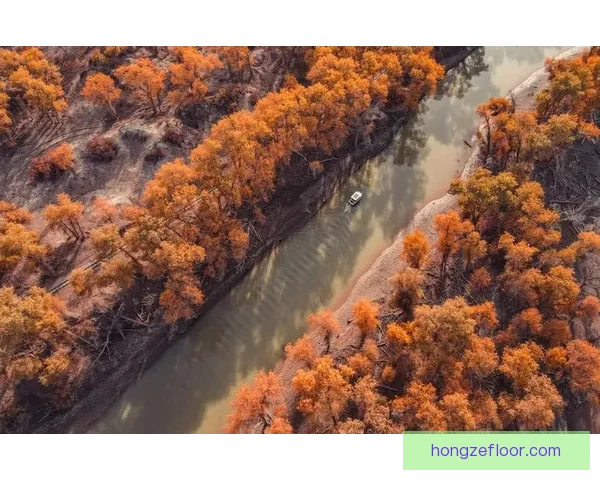 内蒙古与新疆区域发展对比分析：文化经济差异与未来发展潜力探讨