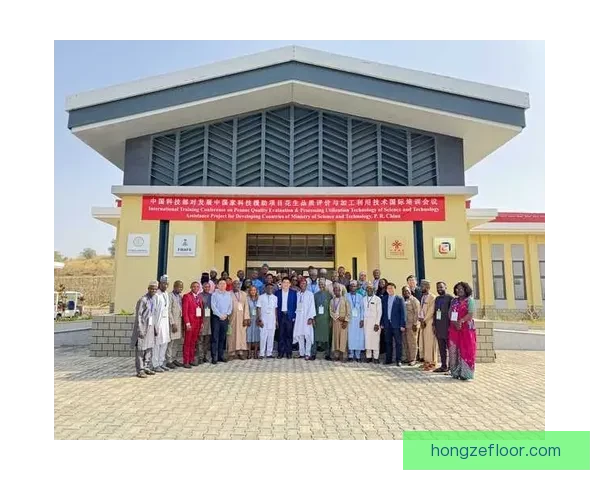 中尼日利亚vs中国多领域对比与合作前景深度观察现状与趋势分析