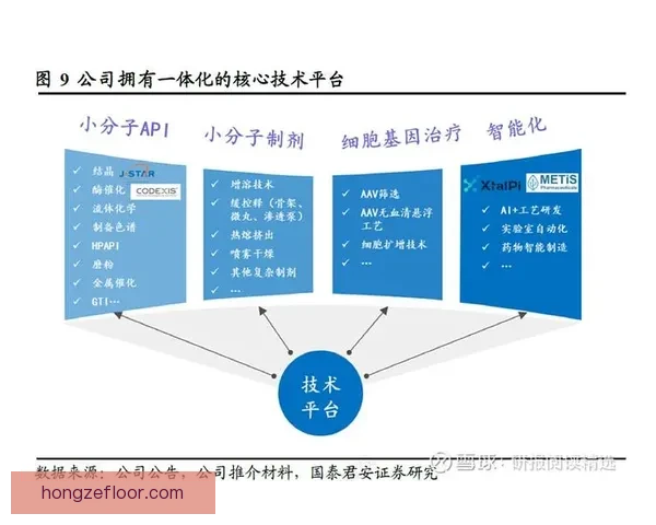 31VS贝塔深度对比解析谁将引领下一代智能变革与应用前景全解析