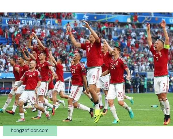 匈牙利对阵芬兰焦点之战解析两队实力与走势前瞻比赛关键看点与战术博弈 匈牙利对阵芬兰焦点之战解析两队实力与走势前瞻比赛关键看点与战术博弈